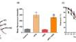 Hesperidin Protects from High-Fat Diet-induced Oxidative Stress in Experimental Hyperlipidemic Wistar Rats