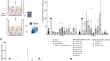 Secretome and immune cell attraction analysis of head and neck cancers.