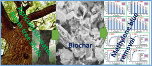 Efficient removal of methylene blue by a biochar from neem tree shell wastes using adsorption technology