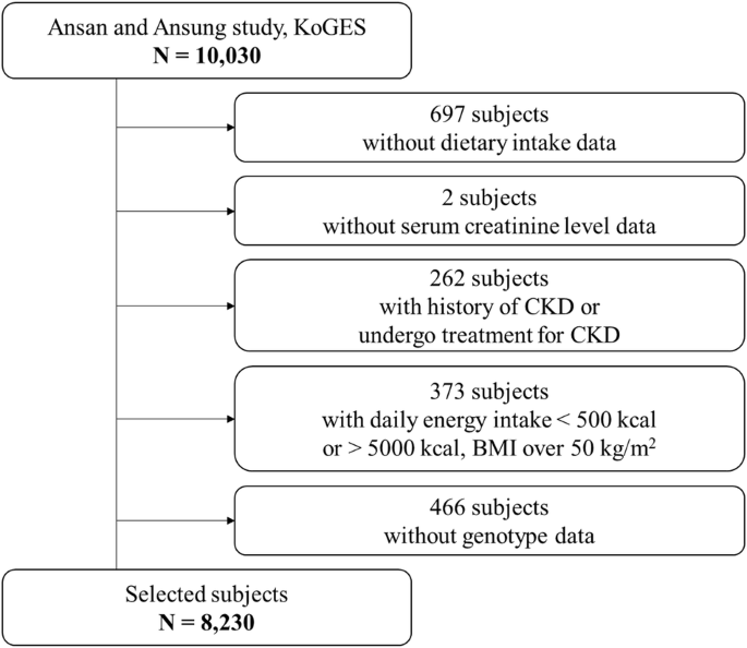 Identification of interactions between genetic risk scores and dietary patterns for personalized prevention of kidney dysfunction in a population-based cohort.