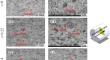 Probing local difference of martensite formation: a study on localized deformation modes in drawn 304H stainless steel wires