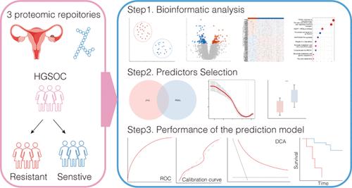 Development and Validation of a Predictive Model for Resistance to Platinum-Based Chemotherapy in Patients with Ovarian Cancer through Proteomic Analysis