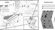 The reach-scale biogeomorphic effect of submerged macrophytes on trout habitat suitability