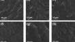 Poly (ε‐caprolactone)/polybutylene adipate terephthalate/hydroxyapatite blend bionanocomposites: morphology–thermal degradation kinetics relationship