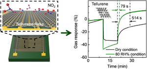 High-speed and Sub-ppm Detectable Tellurene NO2 Chemiresistive Room-Temperature Sensor under Humidity Environments