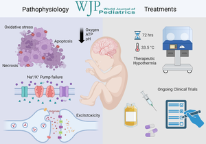 Neonatal encephalopathy due to suspected hypoxic ischemic encephalopathy: pathophysiology, current, and emerging treatments.