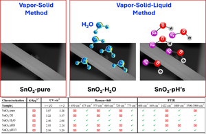 Surface modification of tin oxide nanowires through hydroxyl group anchoring