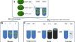 Factors influencing the in vitro growth and maintenance of several Vietnamese accessions of the duckweed Lemna aequinoctialis (Welw.)