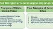 Mullan's triangle or anteromedial triangle of the middle cranial fossa: a cadaveric study with its surgical importance.