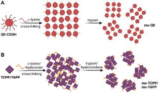 A universal synthetic method for preparing nanoassemblies of quantum dots and organic molecules