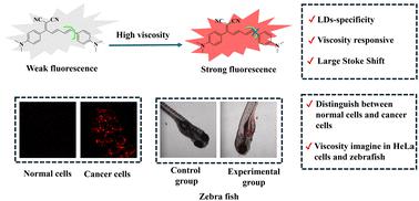 A lipid droplet-targeted fluorescent probe for fluorescence imaging of cell and zebrafish viscosity†