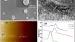 Nonlinear absorption properties in gold nanoparticles for passively Q-switched laser and optical limiting applications