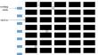 HAC-based adaptive combined pick-up path optimization strategy for intelligent warehouse