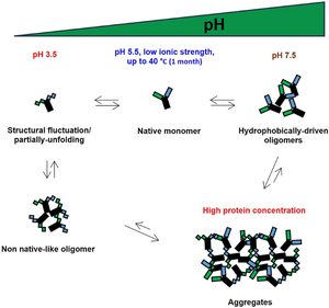 Investigation on environmental factors contributing to bispecific antibody stability and the reversal of self-associated aggregates.