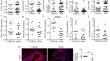 Diabetes compromises tight junction protein claudin 14 in the urinary bladder.