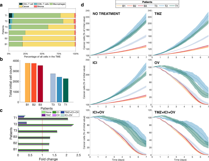 Spatial computational modelling illuminates the role of the tumour microenvironment for treating glioblastoma with immunotherapies.