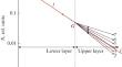 Vertical Distribution of Saltating Particles in a Windsand Flux