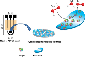 In Situ Synthesized Gold-Conjugated Hemoglobin-Cu3 (PO4)2 Hybrid Nanopetals for Enhanced Electrochemical Detection of H2O2