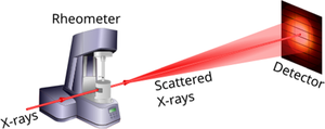 Growth kinetics and structure of a colloidal silica-based network: in situ RheoSAXS investigations