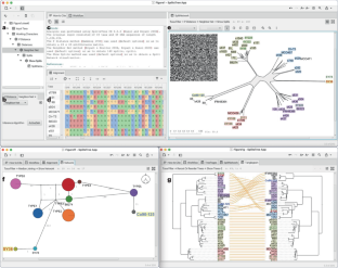 The SplitsTree App: interactive analysis and visualization using phylogenetic trees and networks.