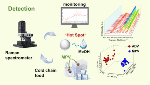 Low-Temperature Substrate: Detection of Viruses on Cold Chain Food Packaging Based on Surface-Enhanced Raman Spectroscopy