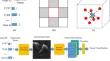 Gene pointNet for tumor classification