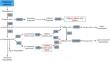 Chlorogenic Acid Content and Metabolism-related Gene Regulation of Potato Tuber Flesh Induced by Sucrose and Phytohormones