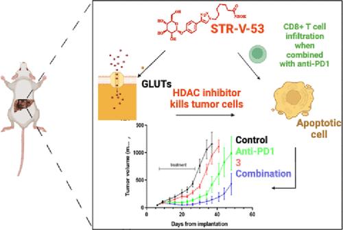 A Novel Liver Cancer-Selective Histone Deacetylase Inhibitor Is Effective against Hepatocellular Carcinoma and Induces Durable Responses with Immunotherapy