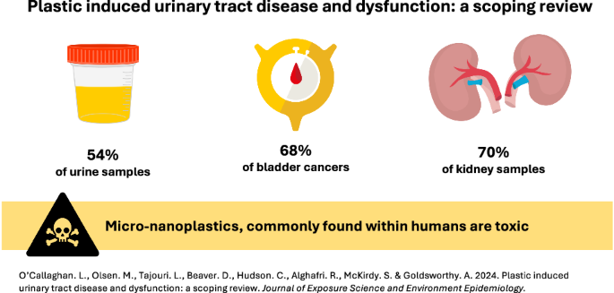 Plastic induced urinary tract disease and dysfunction: a scoping review.