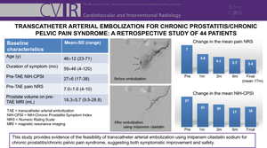 Transcatheter Arterial Embolization for Chronic Prostatitis/Chronic Pelvic Pain Syndrome: A Retrospective Study of 44 Patients.