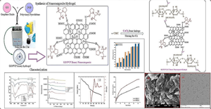 Sustained Ampicillin Loading and Releasing Ability of Novel In-Situ Ca2+ Functionalized Ternary GO/PVP/CMC Nanocomposite Hydrogel