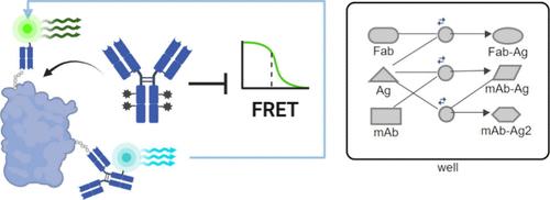 Evaluation of High-Affinity Monoclonal Antibodies and Antibody-Drug Conjugates by Homogenous Time-Resolved FRET