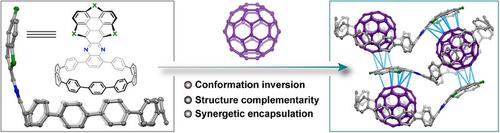 Bowl on the ring: Molecular crowns hosting fullerenes synergistically by buckybowl and nanohoop