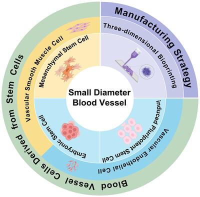 Stem-Cell-Based Small-Diameter Blood Vessels with 3D Printing