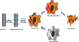 Theranostics: aptamer-assisted carbon nanotubes as MRI contrast and photothermal agent for breast cancer therapy