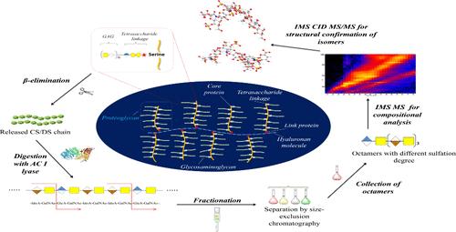 Introducing Ion Mobility Mass Spectrometry in Brain Glycosaminoglycomics: Application to Chondroitin/Dermatan Sulfate Octasaccharide Domains.