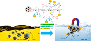 A Novel Magnetic and Amino Grafted Chitosan-Based Composite for Efficient Adsorption and Reduction of Cr(VI): Performance and Removal Mechanism