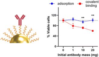 Impact of synthesis methods on the functionality of antibody-conjugated gold nanoparticles for targeted therapy.