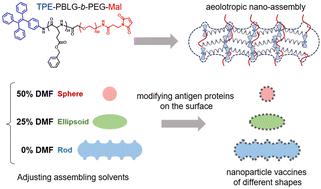 Preparation of viromimetic rod-like nanoparticle vaccines (RLNVax) and study of their humoral immune activation efficacy†