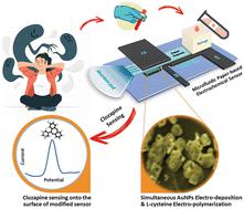 Clozapine sensing through paper-based microfluidic sensors directly modified via electro-deposition and electro-polymerization