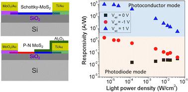 2D MoS2 photovoltaic detectors with a switchable mode