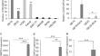 Development of a novel oncolytic adenovirus controlled by CDX2 promoter for esophageal adenocarcinoma therapy.