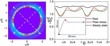 Thermodynamics description of startup flow of soft particles glasses†