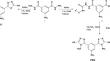 Optical characterization of oxadiazoles analogues doped PMMA film for photonic application