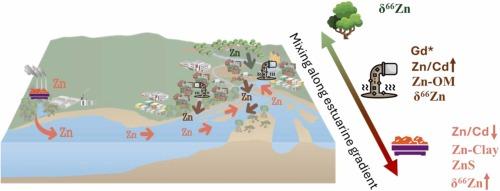 Detangling past and modern zinc anthropogenic source contributions in an urbanized coastal river by combining elemental, isotope and speciation approaches