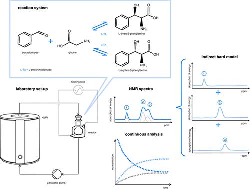 Benchtop NMR-Based In-Line Analysis of Diastereoselective Enzymatic α-Amino Acid Synthesis: Quantification and Validation