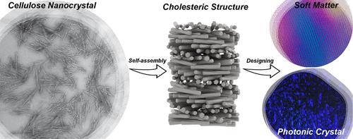 Controlled Self-Assembly of Cellulose Nanocrystal as Custom-Tailored Photonics and Complex Soft Matter