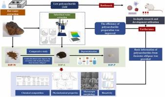 Polysaccharides from Inonotus obliquus employing subcritical water extraction: Extraction optimization, physiochemical properties and bioactivities analysis