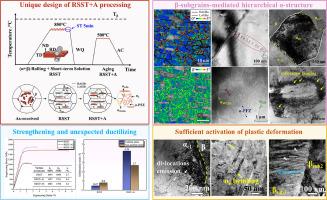 Enhancing strength-ductility synergy in metastable β-Ti alloys through β-subgrains-mediated hierarchical α-precipitation