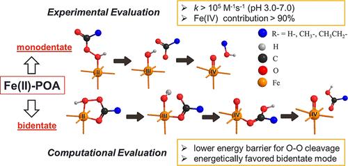 Rapid and Highly Selective Fe(IV) Generation by Fe(II)-Peroxyacid Advanced Oxidation Processes: Mechanistic Investigation via Kinetics and Density Functional Theory